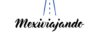 Mexiviajando Logo tours desde la CDMX